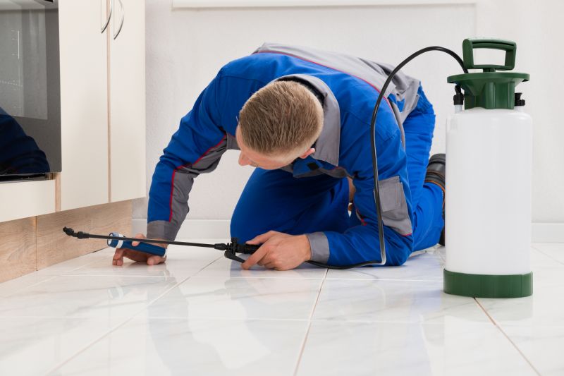 Bug Removal Service in Arlington, TX