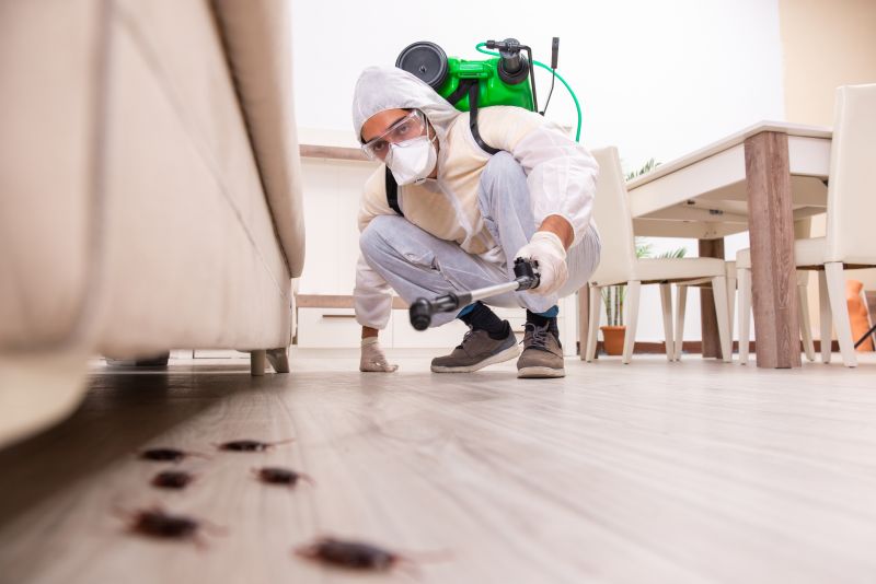 Pest Extermination Service in Frisco, TX
