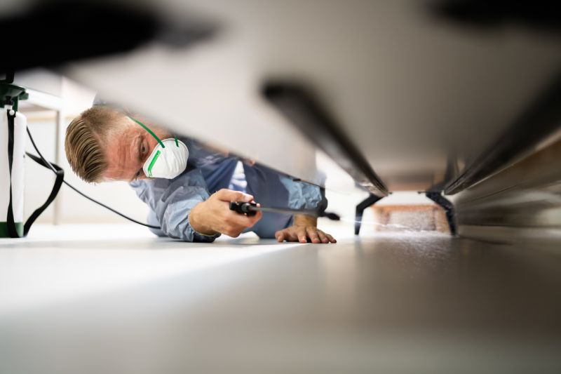 Pest Inspection Service in Frisco, TX