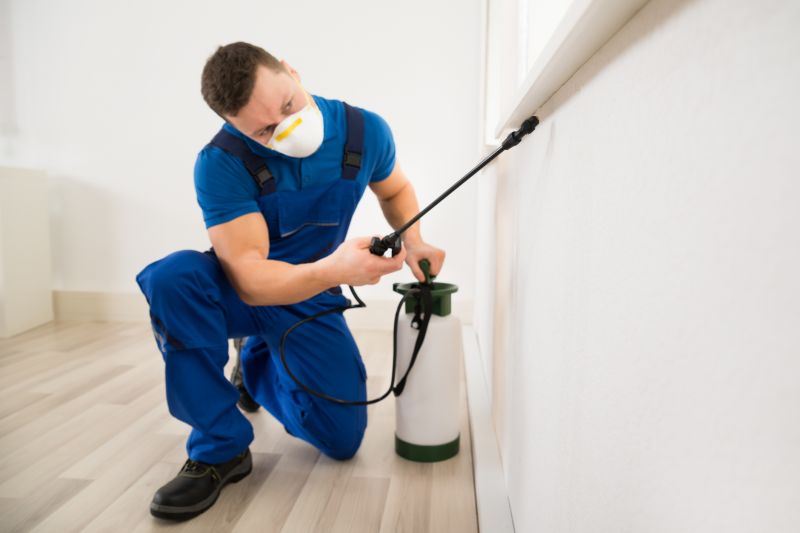 Bug Extermination Service in Arlington, TX