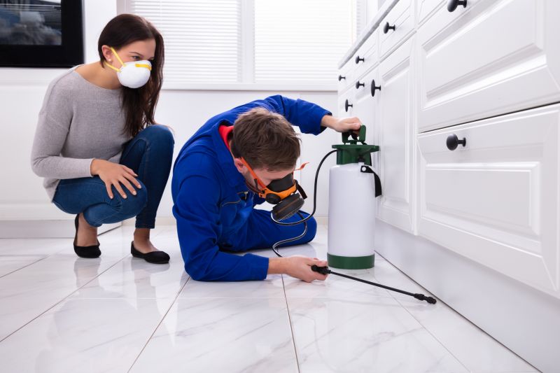 Lawn Insect Spraying in Frisco, TX