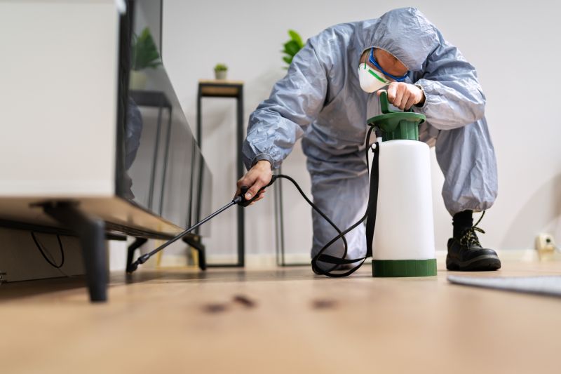 Yard Pest Control in Frisco, TX